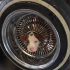 Cute Puppy Gets Stuck in a Not-So-Cute Situation